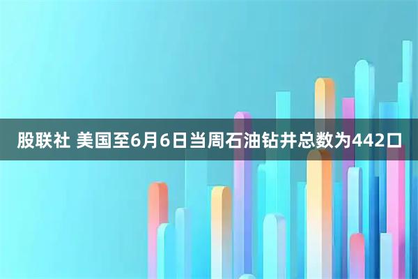 股联社 美国至6月6日当周石油钻井总数为442口