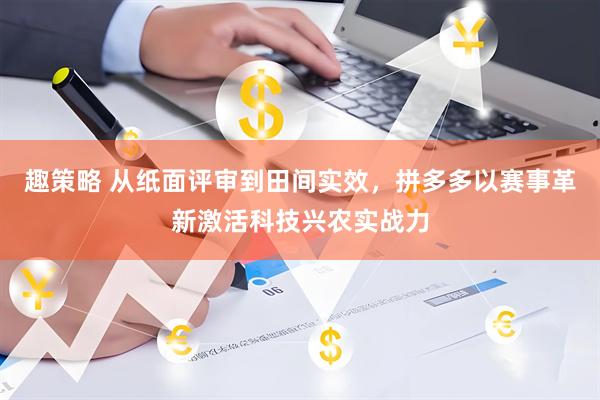 趣策略 从纸面评审到田间实效，拼多多以赛事革新激活科技兴农实战力