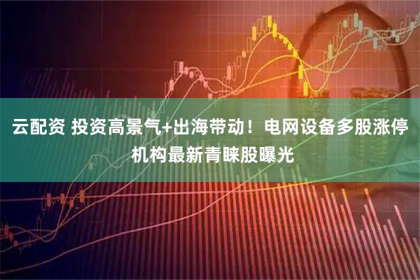 云配资 投资高景气+出海带动！电网设备多股涨停 机构最新青睐股曝光